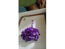 IMG 20151020 102508.jpg