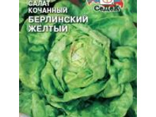 Salat-berlinskiy-zheltyy agp .jpg