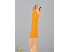 017 an42015-00050.jpg