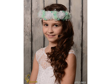 IPT2003-00007 IPT2-003   250�.