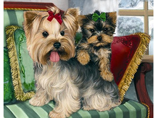 ����������� ������� 48*38 ag489 - 1285 ���.