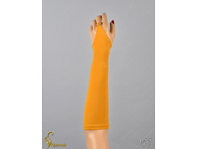 041 an42017-00047.jpg