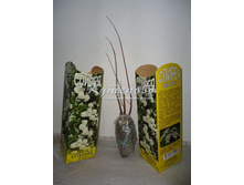 ������ ��� �����  120�