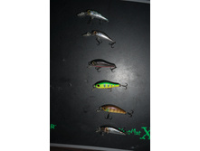 �������� 1.jpg