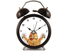 650� ��������� Garfild