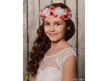 IPT2007-00007 IPT2-007   250�.