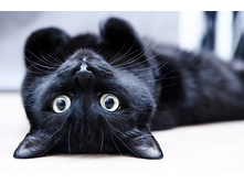 1394118276 www radionetplus ru-21.jpg