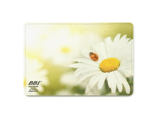 011500 big 65123027.jpg