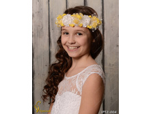 IPT2004-00007 IPT2-004   250�.