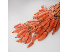 ���������. �������� ������� 180�.jpg