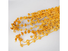 ���������. ����� � ������� ������ 100309 120�.jpg