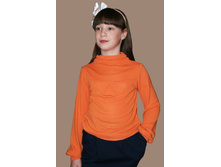 D066-134, 550���. �����! 467���.!