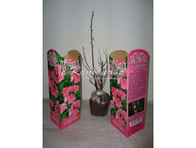 �������� ������������� ������� ���� �����222.00 ���.