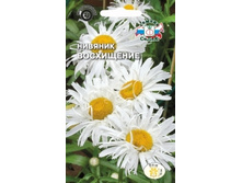 Nivyanik-voskhishchenie n .jpg