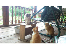 - �� ���� ����� ������?