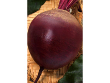 �ף��� ���� F1,(��) 14,00 ���. [���.13000053]