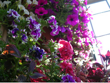 DSCN4883.JPG