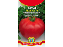 ����� ������ F1, 11,10 ��� + ���.����