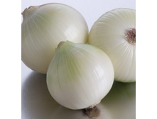 ��������   10�� - 1680 � 1��-168 ���