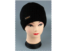 Image399.gif