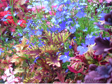 DSCN4294.JPG