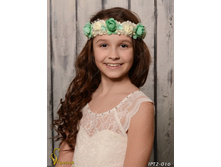 IPT2016-00007 IPT2-016  250�.