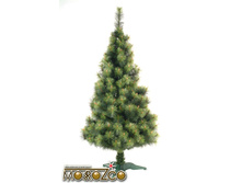 ����� �������� 1�, 1.2�, 2.1�