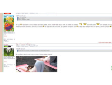 ������� 3.jpg