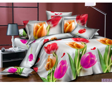 PL-11-3_2370 ���_���� �� �����_1580 ���