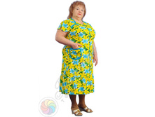 ����� "������� � ������"