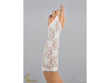 143 an42019-00016 (1).jpg