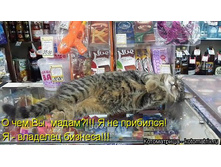 � ������ ������� ...