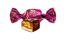 ������� ����� ���� 313 ��� �� 1 �� .png