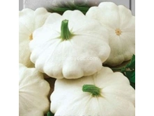 �������� ����� 13,(��)4,00 ���. [���.9000143]