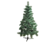 ��� "���������" ��̣��� ��� ���� � ������������ �������, ������� ������ 120 ��