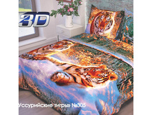 ���� B67.jpg