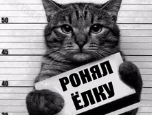 ��� ����� ������� �� ��������� ����� - 1