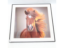 QW-66076 (10) 61�34�64��. ������� ������ � �������� 3D.���� 3150�.jpg