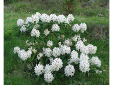 ����������� «����� ���������»2.jpg