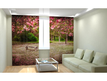 ������� ��������.jpg