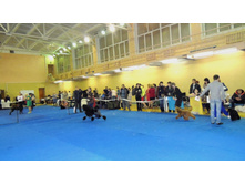 DSCN6090.JPG