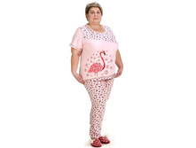 ������ ������.JPG