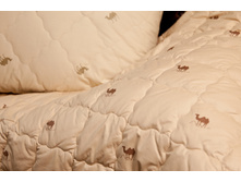 ��� ������� ����� ������.jpg