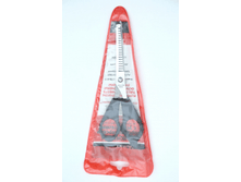 ������� ������������ ���� - 100 �.