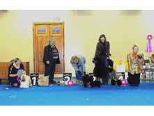 DSCN6114.JPG