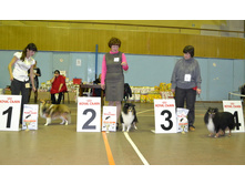 ���� �����