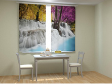 ���� �������.jpg