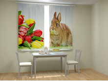 ������ � ����������.jpg