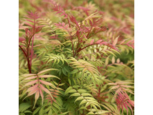 �������� ������������� «���»1.jpg