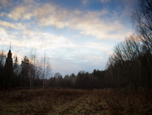 ������ ������� 2015-193.jpg